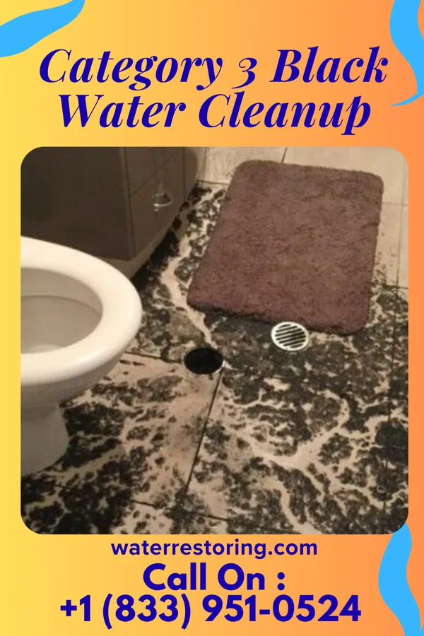 Category 3 Black Water Cleanup in South Ogden, UT