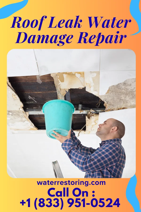 Roof Leak Water Damage Repair in South Ogden, UT
